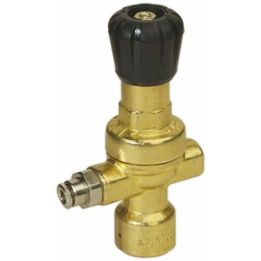 Mig Gas Regulator Disposable Cylinder No Gauge reg/mm - Sealey